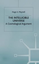 Intelligible Universe