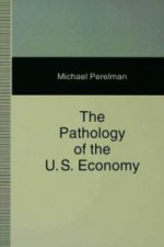 Pathology of the US Economy