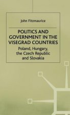 Politics and Government in the Visegrad Countries