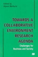 Towards a Collaborative Environment Research Agenda: Challenges for Business and Society