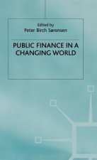 Public Finance in a Changing World