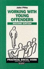 Working with Young Offenders