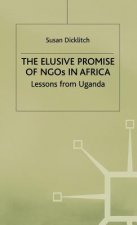 Elusive Promise of NGOs in Africa