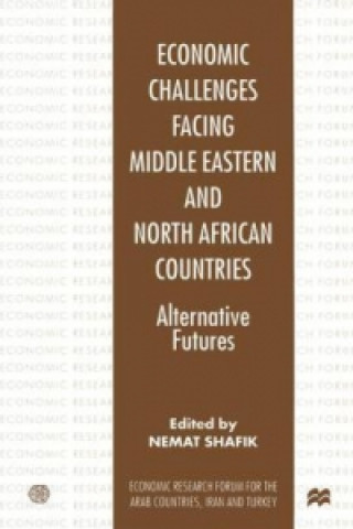 Economic Challenges facing Middle Eastern and North African Countries