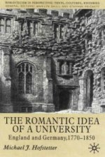 Romantic Idea of a University