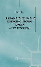 Human Rights in the Emerging Global Order