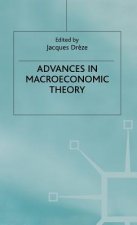 Advances in Macroeconomic Theory