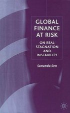 Global Finance at Risk