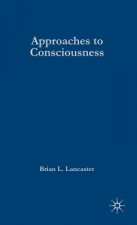 Approaches to Consciousness
