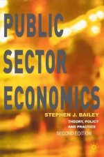 Public Sector Economics