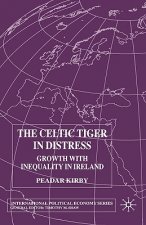 Celtic Tiger in Distress