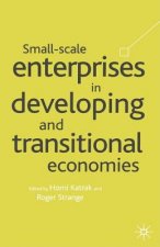 Small Scale Enterprises in Developing and Transitional Economies
