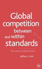 Global Competition Between and Within Standards