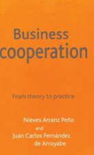 Business Cooperation