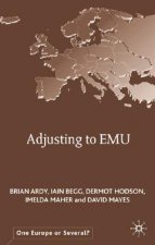 Adjusting to EMU