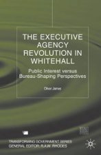 Executive Agency Revolution in Whitehall