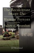 Recalcitrant Imago Dei