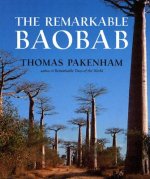 Remarkable Baobab