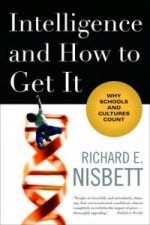 Intelligence and How to Get it
