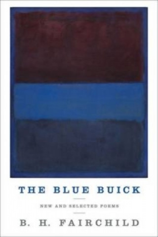 Blue Buick