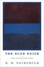 Blue Buick