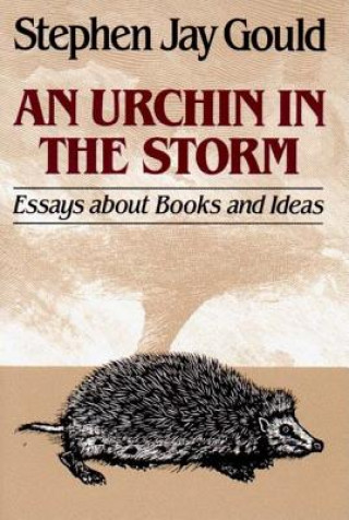 Urchin in the Storm