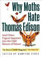 Why Moths Hate Thomas Edison