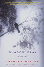 Shadowplay - A Novel