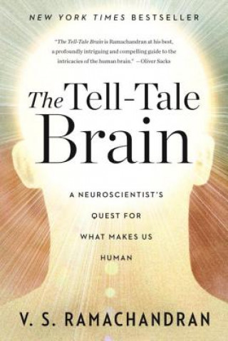 Tell-tale Brain