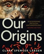 Our Origins