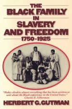 Black Family in Slavery and Freedom