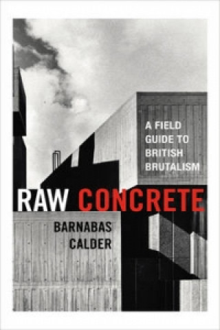 Raw Concrete