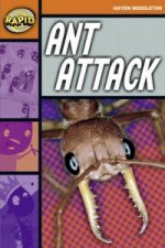 Rapid Reading: Ant Attack (Stage 4, Level 4B)