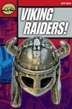 Rapid Reading: Viking Raider (Stage 5, Level 5A)