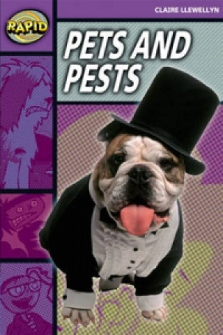 Rapid Stage 1 Set B: Pets and Pests Reader Pack of 3 (Series 2)