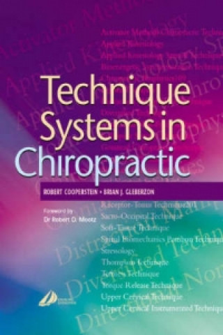 Technique Systems in Chiropractic