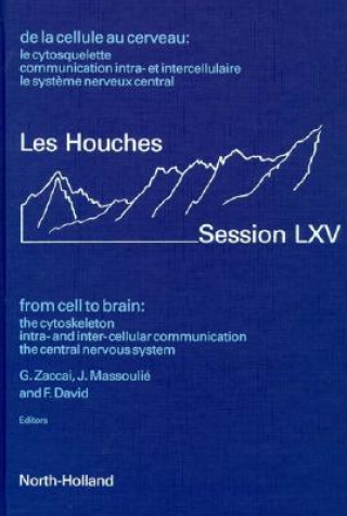 From Cell to Brain