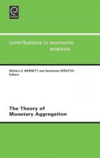 Theory of Monetary Aggregation