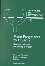 From Fragments to Objects