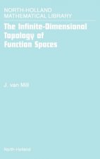 Infinite-Dimensional Topology of Function Spaces