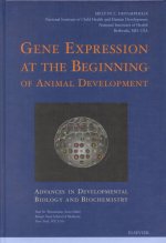 Gene Expression at the Beginning of Animal Development