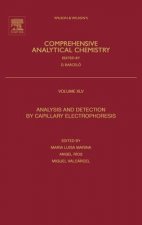 Analysis and Detection by Capillary Electrophoresis