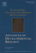 Planar Cell Polarization during Development