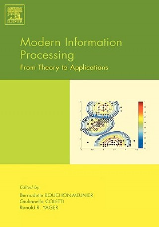 Modern Information Processing