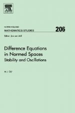 Difference Equations in Normed Spaces