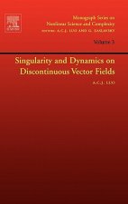 Singularity and Dynamics on Discontinuous Vector Fields