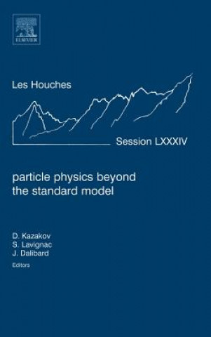 Particle Physics beyond the Standard Model
