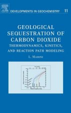 Geological Sequestration of Carbon Dioxide