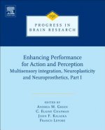 Enhancing Performance for Action and Perception