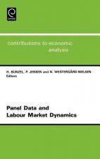 Panel Data and Labour Market Dynamics